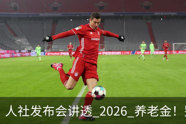 人社发布会讲透 2026 养老金！别被网上传言带偏了