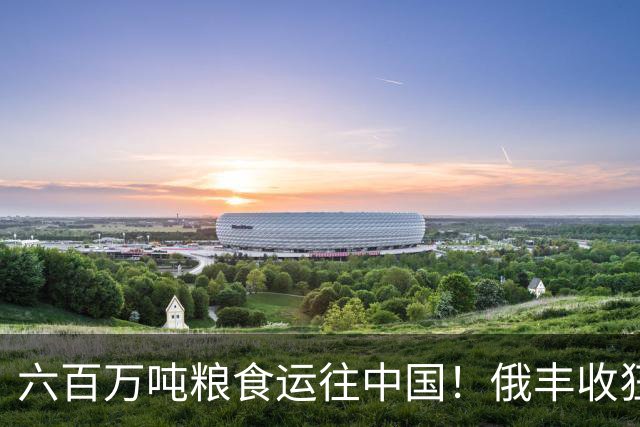 六百万吨粮食运往中国！俄丰收狂销刷出新纪录，我们在依赖它吗？