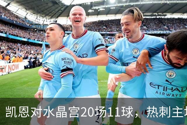 凯恩对水晶宫20场11球，热刺主场却连输两次