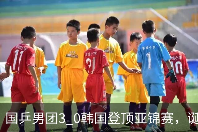 国乒男团3 0韩国登顶亚锦赛，诞生3个不可思议，2个不争的事实