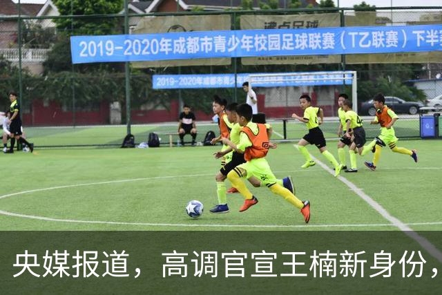 央媒报道，高调官宣王楠新身份，资产查封被带走调查传闻早有真相