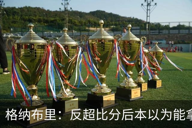 格纳布里：反超比分后本以为能拿下比赛 但也完全可以接受平局