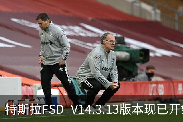 特斯拉FSD V14.3.13版本现已开始推送 用户可OTA升级